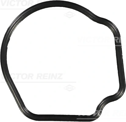 Gasket, thermostat housing